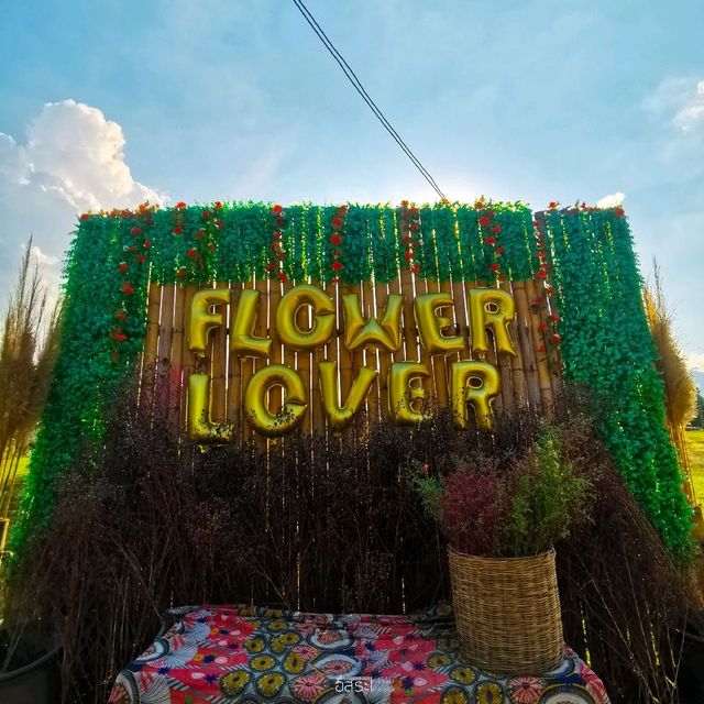 Flower Lovers. CNX | สวนดอกไม้เชียงใหม่​