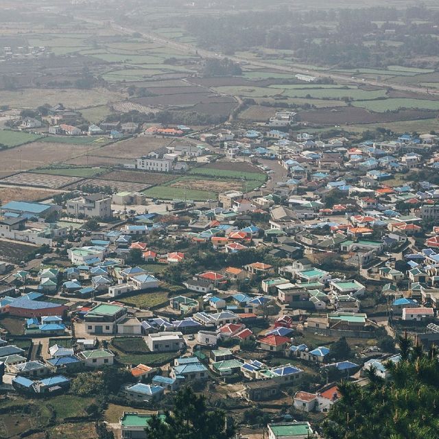 제주도 동쪽 전망좋은 오름 '지미봉'