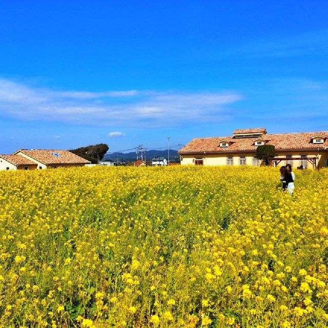 Nagai Seaside Park