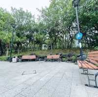 賞花攻略 蝴蝶灣公園