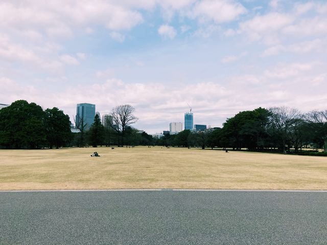 【新宿】都心の緑地　新宿御苑