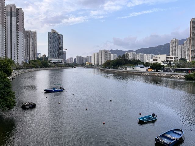平靜的擁抱怒與哀樂