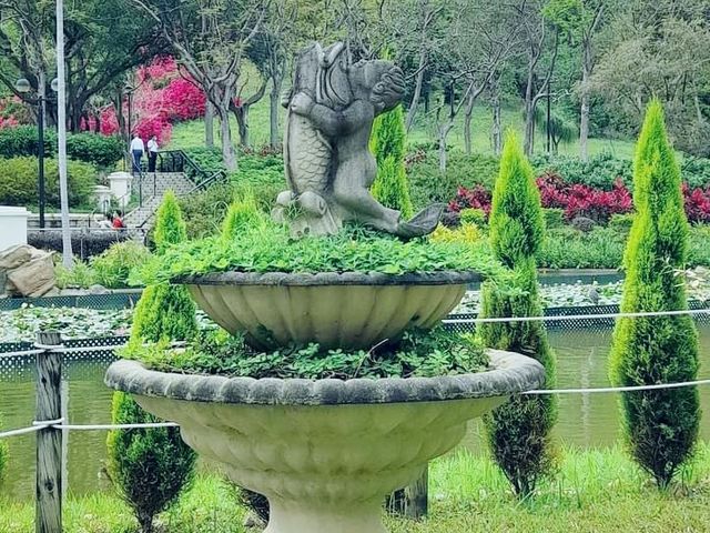 青衣賞花好地方