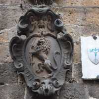 意大利 Orvieto 👀 Torre del Moro