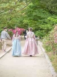 서울 데이트코스 추천, 창경궁