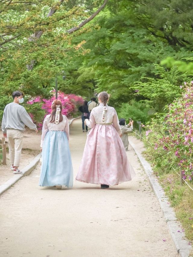 서울 데이트코스 추천, 창경궁
