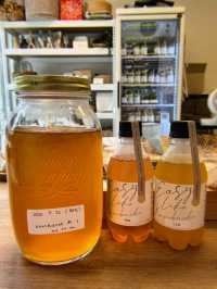 [1-day Workshop] Make your own Kombucha