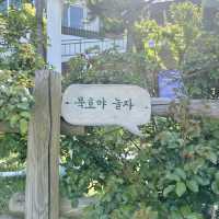 동해여행 필수코스! 바다와 묵호항을 한 눈에 담을 수 있는 <논골담길&논골카페>