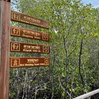 ศูนย์ศึกษาธรรมชาติป่าชายเลยอ่าวคุ้งกระเบน