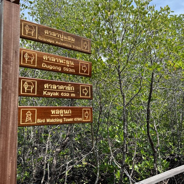 ศูนย์ศึกษาธรรมชาติป่าชายเลยอ่าวคุ้งกระเบน