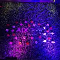 พาคุณชมวิวกรุงเทพ Ex party 🎉 Maison Saint Aix