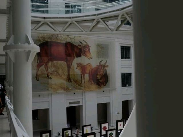 National Museum of Natural History