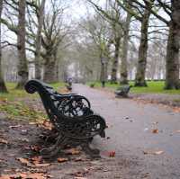 AUTUMN IN THE LARGEST PARK IN LONDON