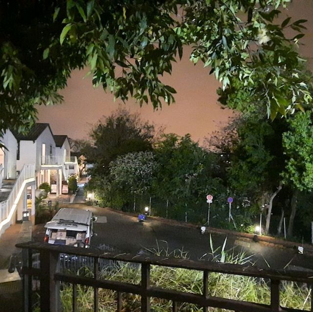 翠雅山房城市綠洲