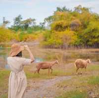 ลพบุรี เมืองรอง ที่ต้องลอง