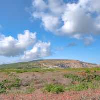 蔵王山頂レストハウスからの景色