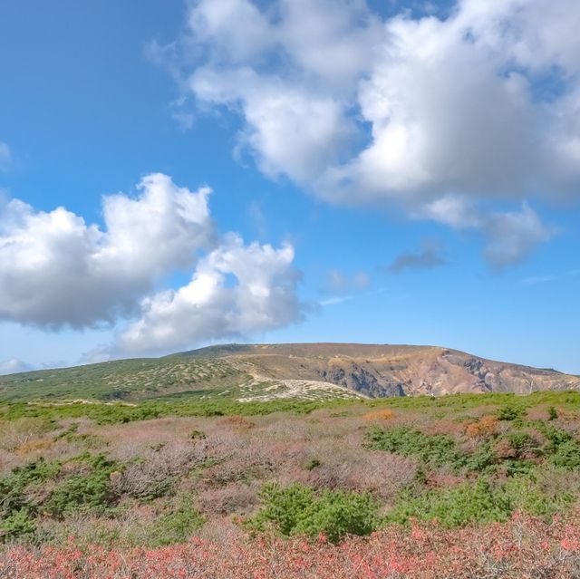 蔵王山頂レストハウスからの景色