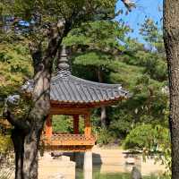 단풍 명소로 유명한 용인 호암 미술관 