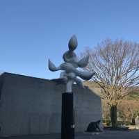 Hakone Open Aur Museum 