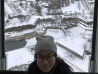 มาชิลชมวิวสวนมุมสูงจาก Goryokaku Tower