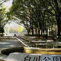 白川公園~藝術博物館