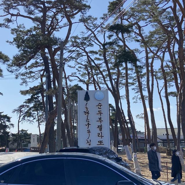 두부로 만든 아이스크림❓강릉 순두부 젤라또🍦