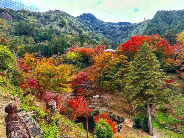 紅葉と陶器のコントラスト