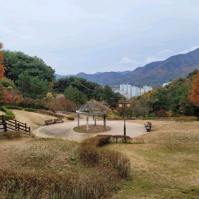 가을 분위기 즐기기 좋은 김해 반룡산공원
