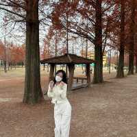 가을 단풍구경 막차입니당 ♥️🍁🍂