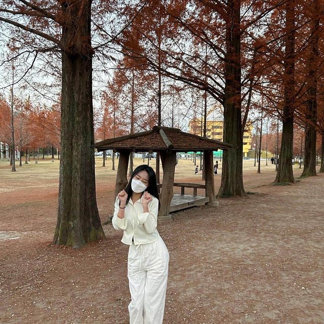 가을 단풍구경 막차입니당 ♥️🍁🍂