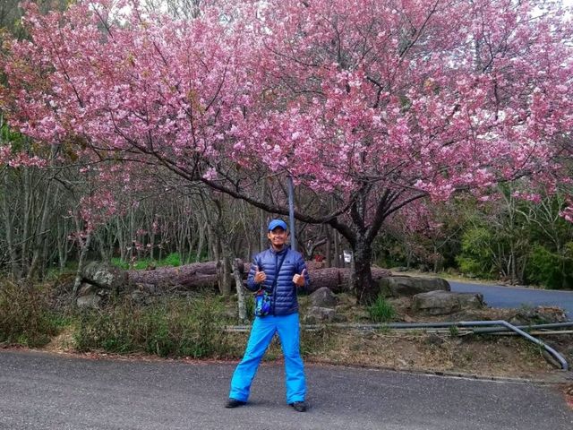 Xueshan - 2nd Highest Peak in Taiwan