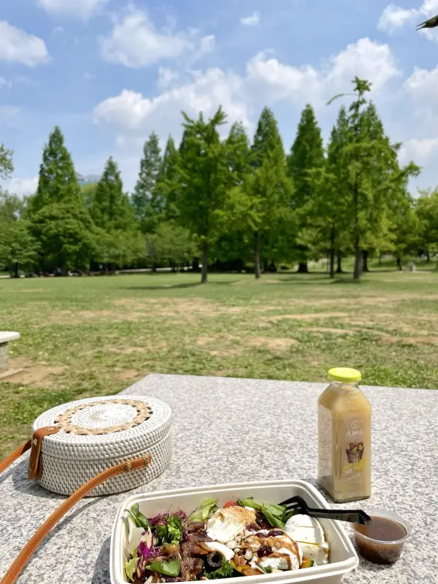 올림픽공원 피크닉장을 소개합니다🌲