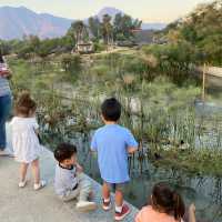 Bicentenario park in Chile 