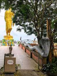 360° view Buddha 🌊 