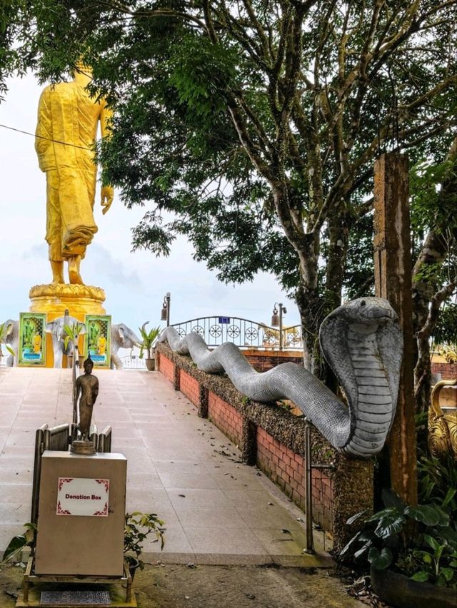 360° view Buddha 🌊 