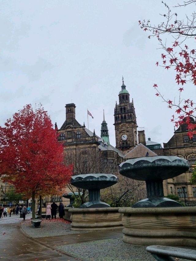 Charming and relaxed city of Sheffield