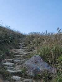 秋冬行山團!大東山賞芒草!!