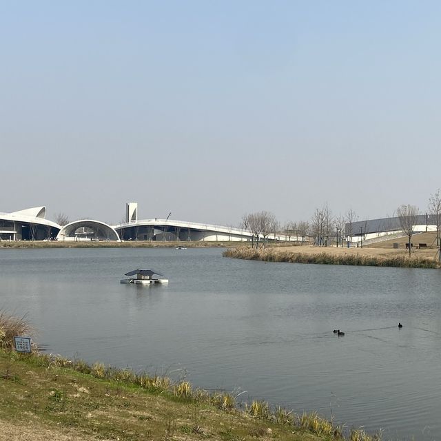 Finally Checking Out THE Shanghai Planetarium