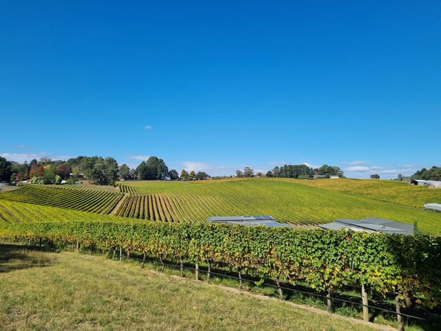 Adelaide Is Not Complete Without Wineries