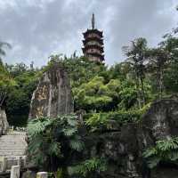 打卡深圳龍華公園