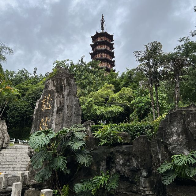 打卡深圳龍華公園