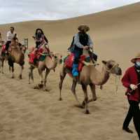 Camel ride in the desert