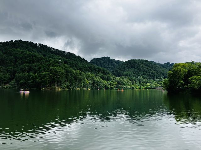 Visiting Qianling Mountain a.k.a Monkey Park