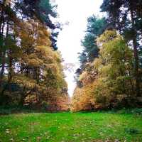 Get out into nature