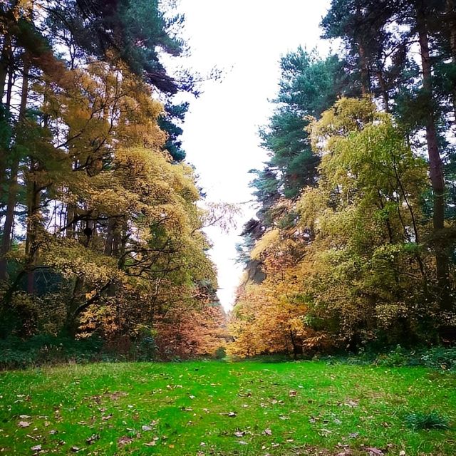 Get out into nature