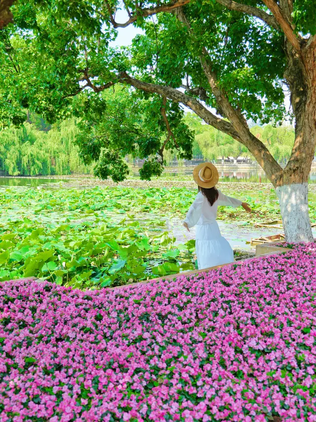 In Kunming, you can always trust the romance of Green Lake Park.