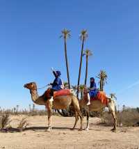 Morocco - Marrakech