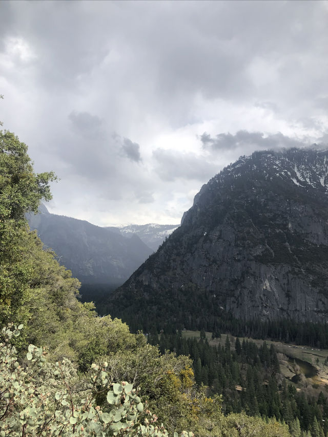 California | Yosemite National Park Photo Sharing 3