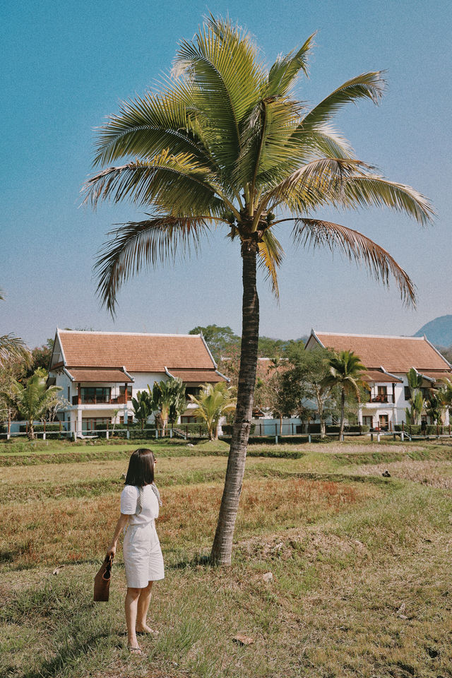 Stayed in a French colonial-style mansion in Laos.