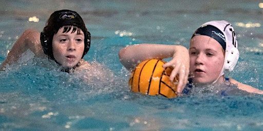 Mini Polo - 6 Week Term Apr/May Saturdays 12.45-1.30 | Trinity College Sports Centre